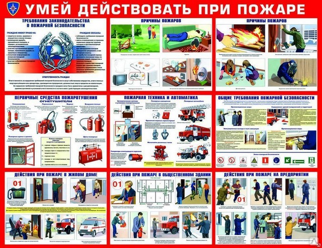 foto 2023 11 30 15 35 002